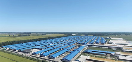 首页-suncitygroup太阳集团官方网站